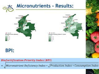 Research advances of HarvestPlus socioeconomic studies in LAC