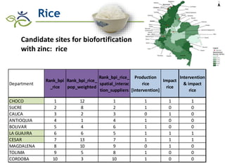 Research advances of HarvestPlus socioeconomic studies in LAC