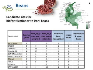Research advances of HarvestPlus socioeconomic studies in LAC