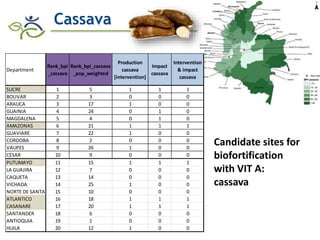 Research advances of HarvestPlus socioeconomic studies in LAC
