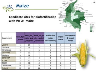 Research advances of HarvestPlus socioeconomic studies in LAC