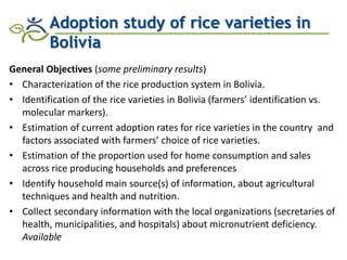 Research advances of HarvestPlus socioeconomic studies in LAC