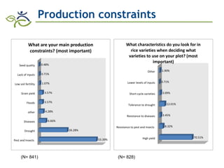 Research advances of HarvestPlus socioeconomic studies in LAC