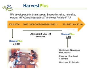 Research advances of HarvestPlus socioeconomic studies in LAC