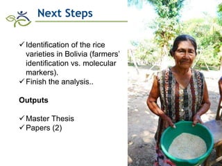 Research advances of HarvestPlus socioeconomic studies in LAC