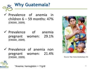 Research advances of HarvestPlus socioeconomic studies in LAC