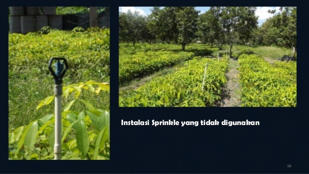 Seminar Hasil Penelitian