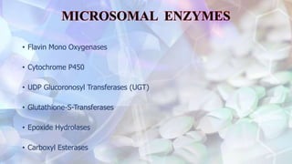 • Flavin Mono Oxygenases
• Cytochrome P450
• UDP Glucoronosyl Transferases (UGT)
• Glutathione-S-Transferases
• Epoxide Hydrolases
• Carboxyl Esterases
 