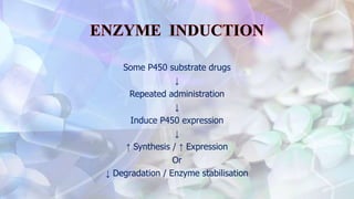 Some P450 substrate drugs
↓
Repeated administration
↓
Induce P450 expression
↓
↑ Synthesis / ↑ Expression
Or
↓ Degradation / Enzyme stabilisation
 