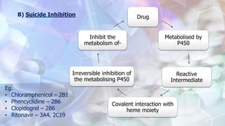 B) Suicide Inhibition Drug
Metabolised by
P450
Reactive
Intermediate
Covalent interaction with
heme moiety
Irreversible inhibition of
the metabolising P450
Inhibit the
metabolism of-
Eg.
• Chloramphenicol – 2B1
• Phencyclidine – 2B6
• Clopidogrel – 2B6
• Ritonavir – 3A4, 2C19
 