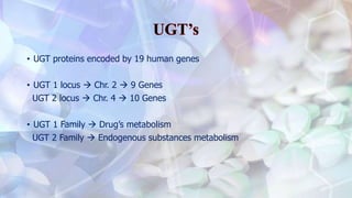• UGT proteins encoded by 19 human genes
• UGT 1 locus  Chr. 2  9 Genes
UGT 2 locus  Chr. 4  10 Genes
• UGT 1 Family  Drug’s metabolism
UGT 2 Family  Endogenous substances metabolism
 