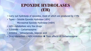 • Carry out hydrolysis of epoxides, most of which are produced by CYPs
• Types – Soluble Epoxide Hydrolase (sEH)
Microsomal Epoxide Hydrolase (mEH)
• mEH metabolises very few drugs
• Substrate – Carbamazepine
• Inhibitor - Valnoctamide, Valproic acid
• Drug interaction – mEH inhibition  Toxic effects of Carbamazepine
 