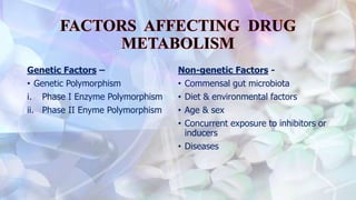 Genetic Factors –
• Genetic Polymorphism
i. Phase I Enzyme Polymorphism
ii. Phase II Enyme Polymorphism
Non-genetic Factors -
• Commensal gut microbiota
• Diet & environmental factors
• Age & sex
• Concurrent exposure to inhibitors or
inducers
• Diseases
 