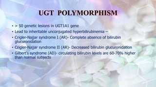 • > 50 genetic lesions in UGT1A1 gene
• Lead to inheritable unconjugated hyperbilirubinemia –
• Crigler-Najjar syndrome I (AR)- Complete absence of bilirubin
glucuronidation
• Crigler-Najjar syndrome II (AR)- Decreased bilirubin glucuronidation
• Gilbert’s syndrome (AD)- circulating bilirubin levels are 60-70% higher
than normal subjects
 
