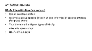 ANTIGENIC STRUCTURE
HBsAg ( Hepatitis B surface antigen)
• It is an envelope protein
• It carries a group specific antigen ‘a’ and two types of specific antigens
d or y and w or r
• Thus there are 4 antigenic types of HBsAg-
adw, adr, ayw and ayr
• HALF LIFE- >8 days
 