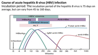 Course of acute hepatitis B virus (HBV) infection
Incubation period: The incubation period of the hepatitis B virus is 75 days on
average, but can vary from 45 to 160 days.
 