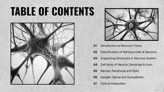 Histology of Nervous System Simplified PPT | PDF