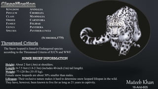 Snow leopard Conservancy | PPTX