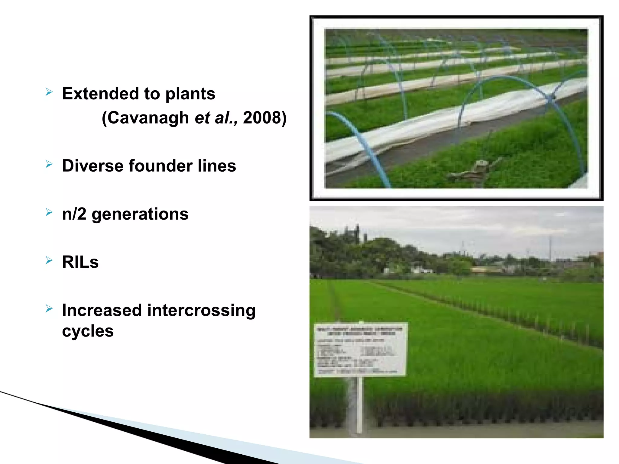    Extended to plants
        (Cavanagh et al., 2008)

   Diverse founder lines

   n/2 generations

   RILs

   Increased intercrossing
    cycles
 