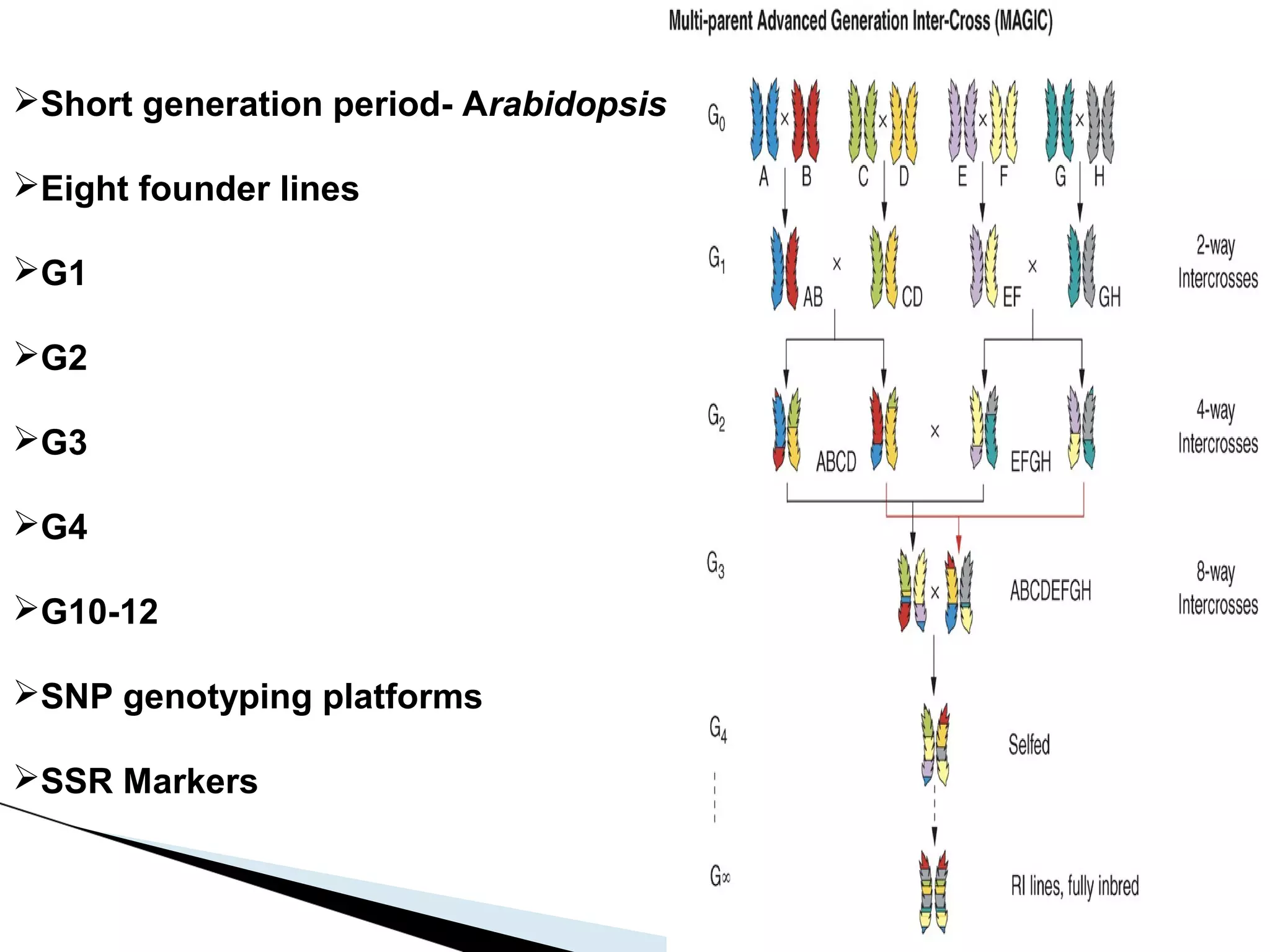 Short generation period- Arabidopsis

Eight founder lines

G1

G2

G3

G4

G10-12

SNP genotyping platforms

SSR Markers
 
