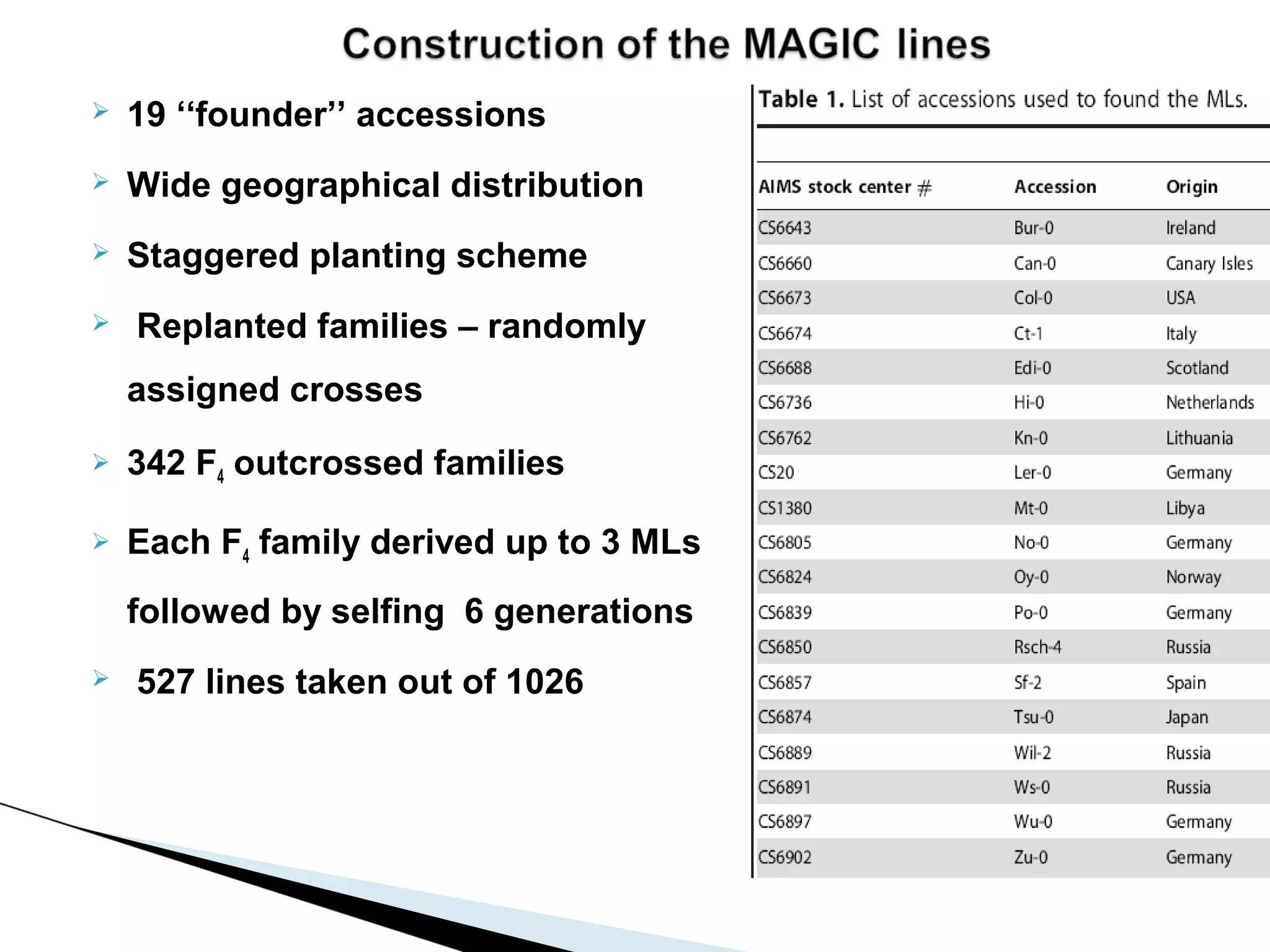    19 ‘‘founder’’ accessions
   Wide geographical distribution
   Staggered planting scheme
   Replanted families – randomly
    assigned crosses
   342 F4 outcrossed families

   Each F4 family derived up to 3 MLs
    followed by selfing 6 generations
   527 lines taken out of 1026
 