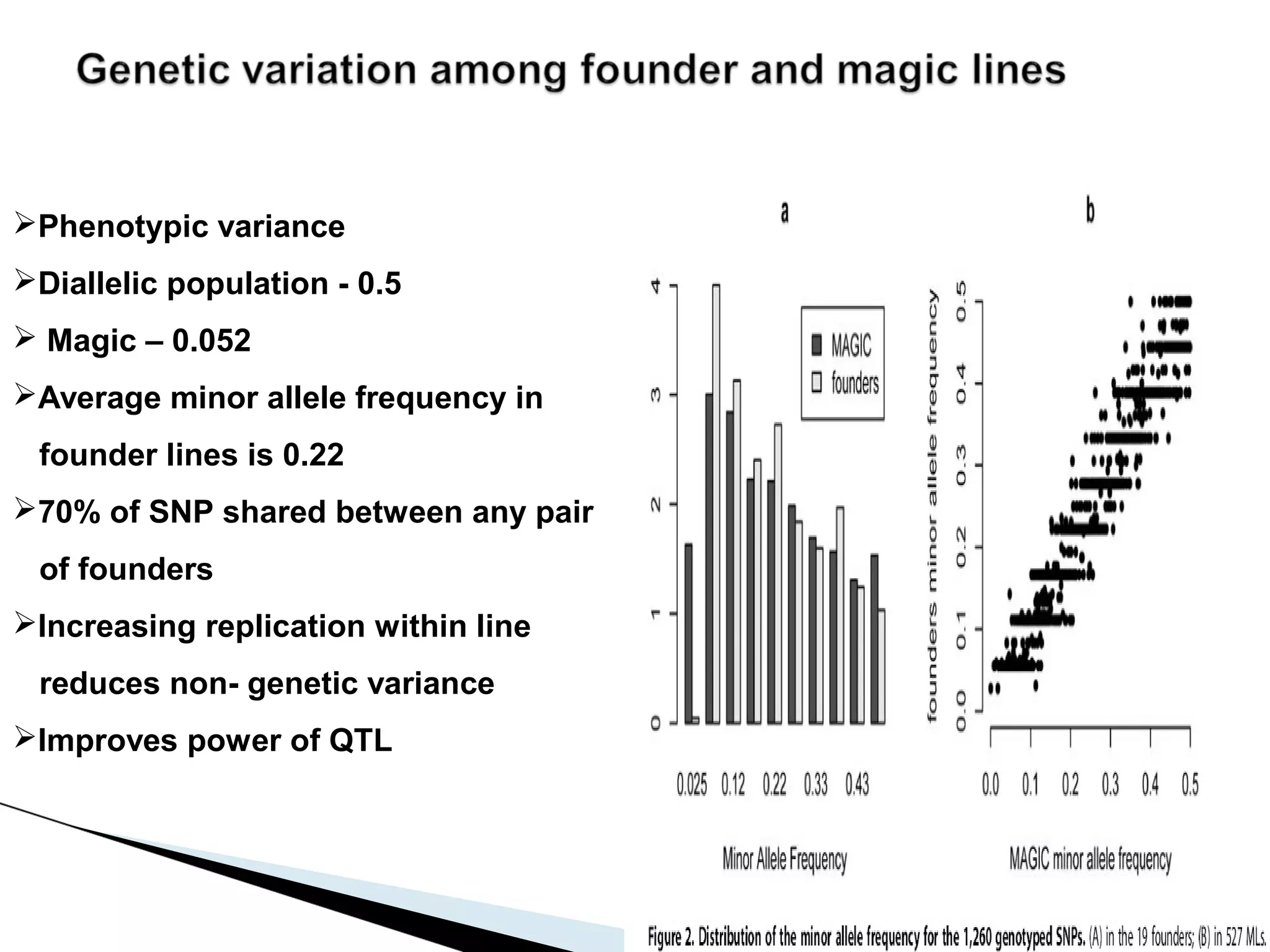 Phenotypic variance
Diallelic population - 0.5
 Magic – 0.052
Average minor allele frequency in
 founder lines is 0.22
70% of SNP shared between any pair
 of founders
Increasing replication within line
 reduces non- genetic variance
Improves power of QTL
 