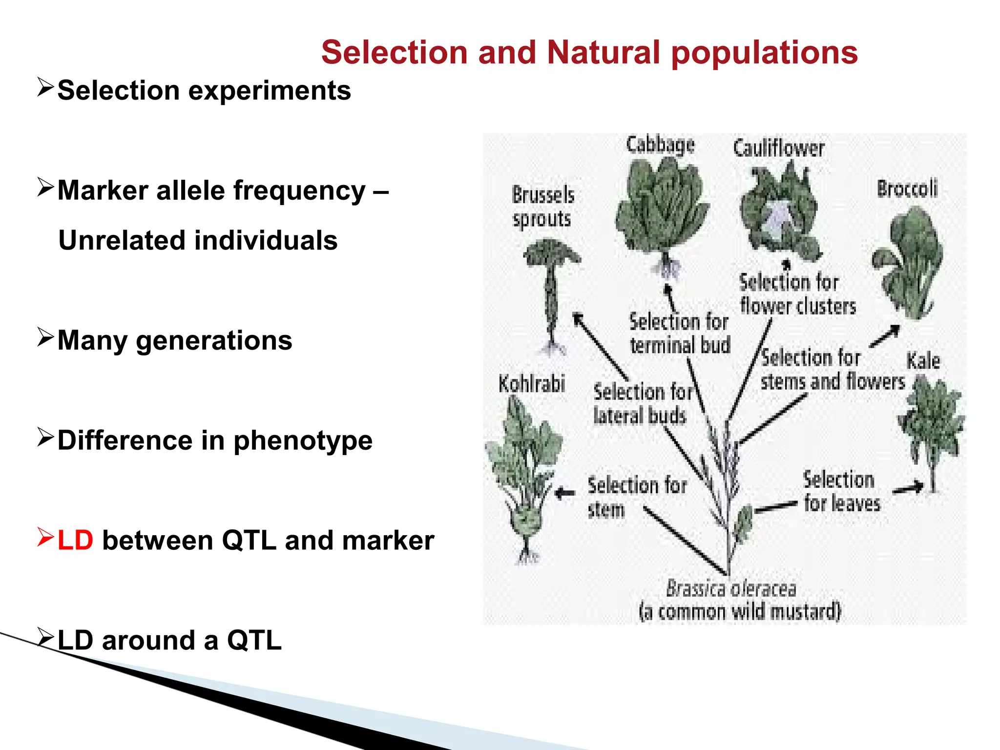 Selection and Natural populations
Selection experiments


Marker allele frequency –
 Unrelated individuals


Many generations


Difference in phenotype


LD between QTL and marker


LD around a QTL
 
