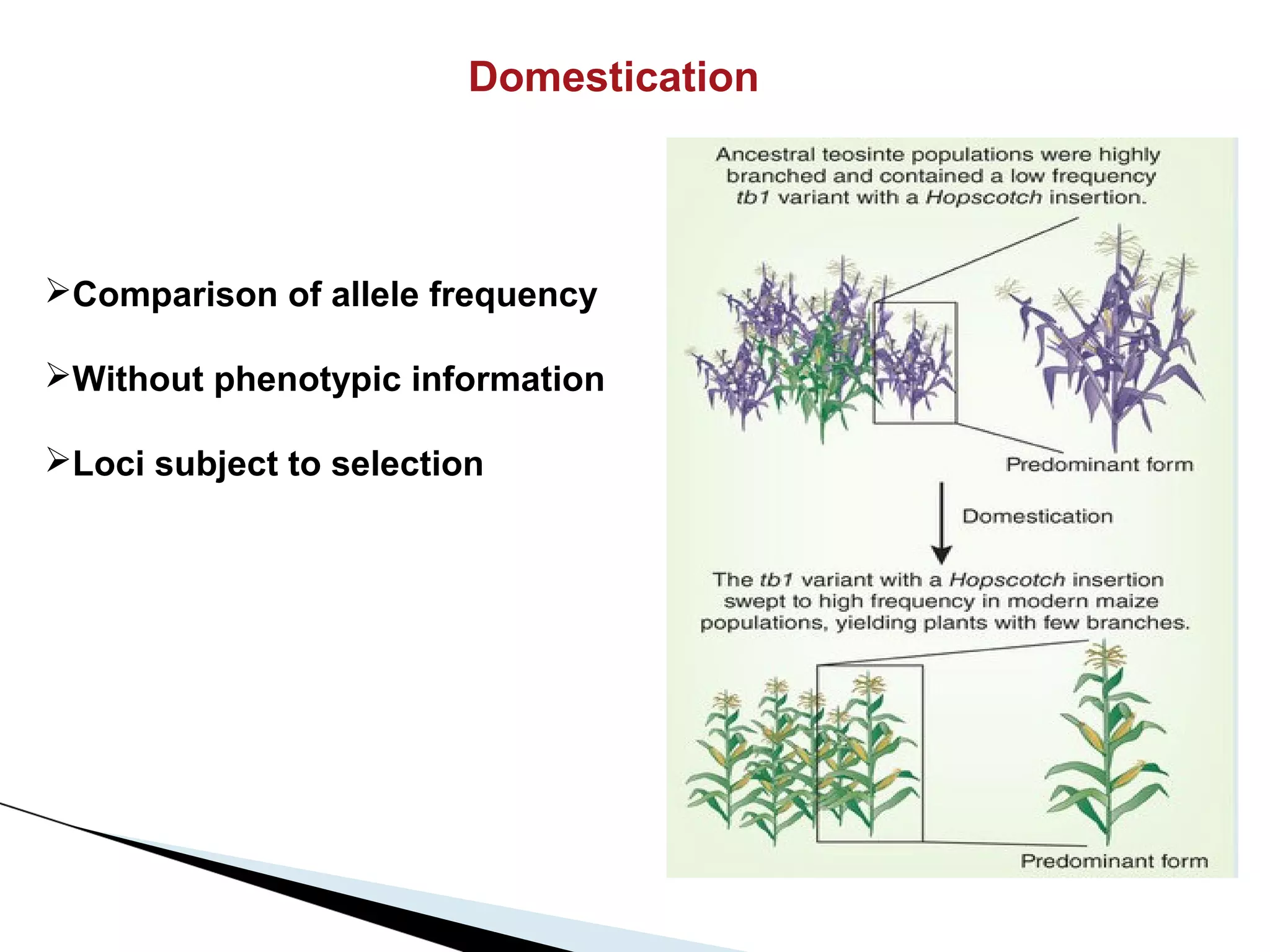 Domestication




Comparison of allele frequency

Without phenotypic information

Loci subject to selection
 