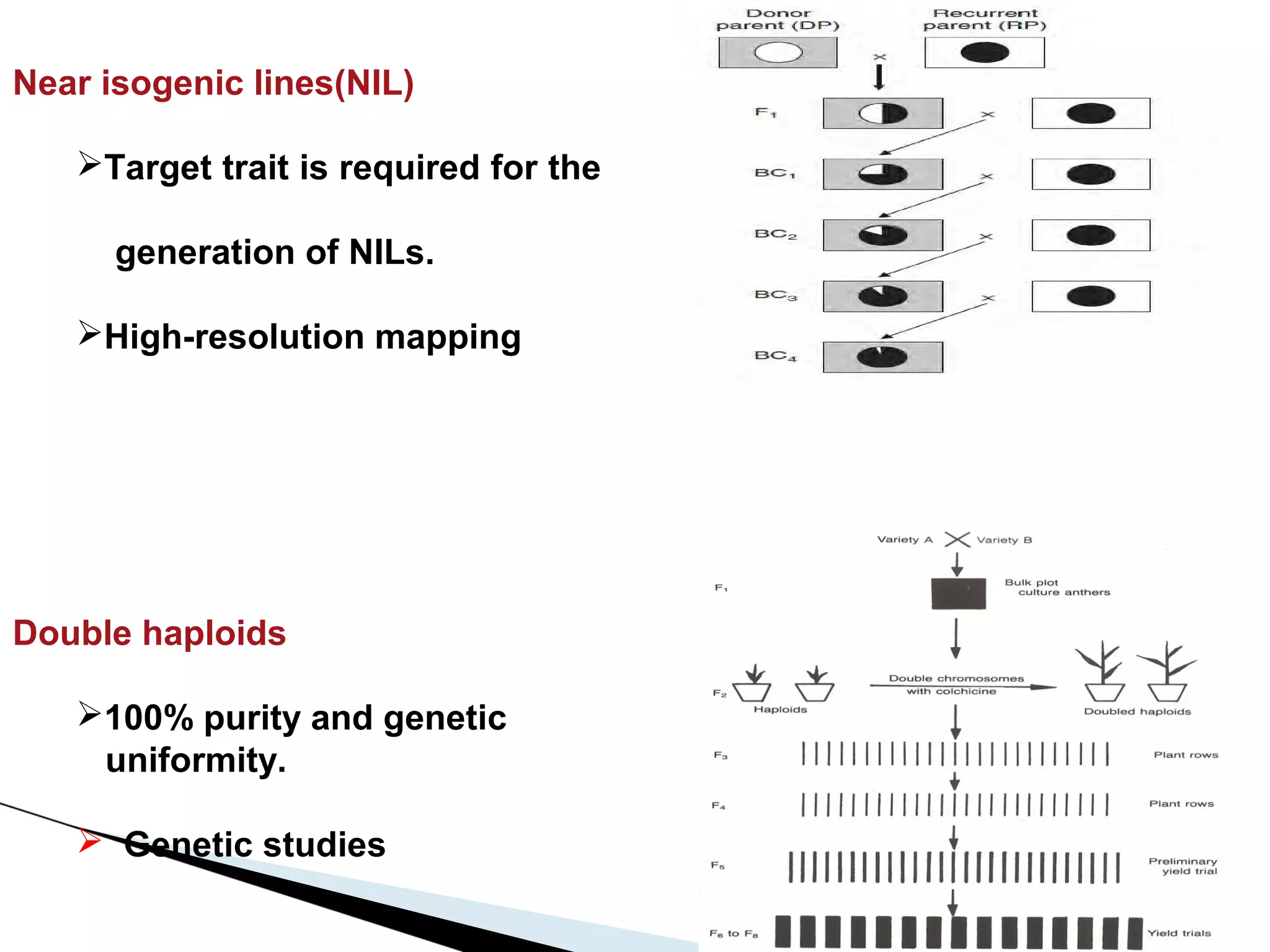 Near isogenic lines(NIL)

   Target trait is required for the

      generation of NILs.

   High-resolution mapping




Double haploids

   100% purity and genetic
    uniformity.

    Genetic studies
 