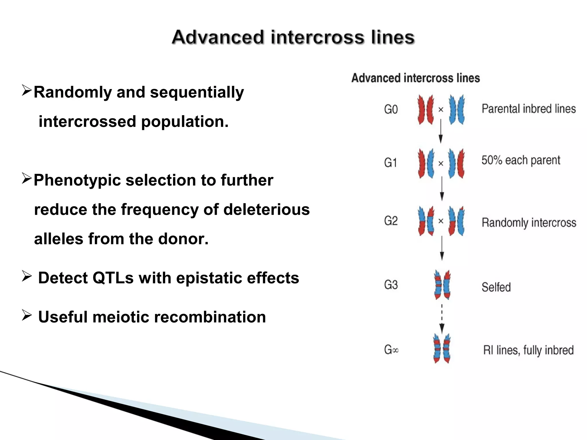 Randomly and sequentially
  intercrossed population.


Phenotypic selection to further
 reduce the frequency of deleterious
 alleles from the donor.

 Detect QTLs with epistatic effects

 Useful meiotic recombination
 