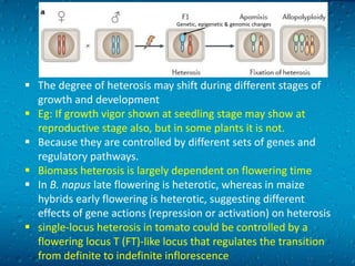 Heterosis Graph Molecular basis of heterosis in crop plants | PPTX