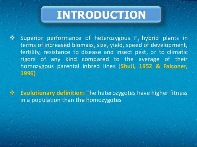 heterosis in plants