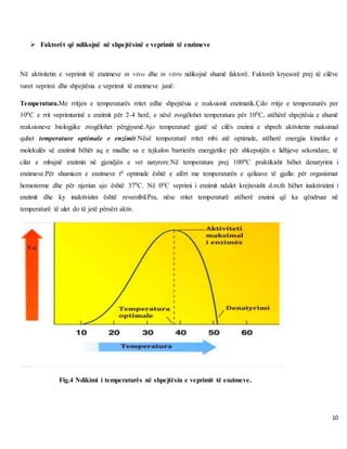 10
 Faktorët që ndikojnë në shpejtësinë e veprimit të enzimeve
Në aktivitetin e veprimit të enzimeve in vivo dhe in vitro ndikojnë shumë faktorë. Faktorët kryesorë prej të cilëve
varet veprimi dhe shpejtësia e veprimit të enzimeve janë:
Temperatura.Me rritjen e temperaturës rritet edhe shpejtësia e reaksionit enzimatik.Çdo rritje e temperaturës per
100C e rrit veprimtarinë e enzimit për 2-4 herë, e nësë zvogëlohet temperatura për 100C, atëhërë shpejtësia e shumë
reaksioneve biologjike zvogëlohet përgjysmë.Ajo temperaturë gjatë së cilës enzimi e shpreh aktivitetin maksimal
quhet temperature optimale e enzimit.Nësë temperaturë rritet mbi atë optimale, atëherë energjia kinetike e
molekulës së enzimit bëhët aq e madhe sa e tejkalon barrierën energjetike për shkeputjën e lidhjeve sekondare, të
cilat e mbajnë enzimin në gjendjën e vet natyrore.Në temperature prej 1000C praktikisht bëhet denatyrimi i
enzimeve.Për shumicen e enzimeve t0 optimale është e afërt me temperaturën e qelizave të gjalla: për organizmat
homoterme dhe për njeriun ajo është 370C. Në 00C veprimi i enzimit ndalet krejtesisht d.m.th bëhet inaktivizimi i
enzimit dhe ky inaktivizim është reverzibil.Pra, nëse rritet temperaturë atëherë enzimi që ka qëndruar në
temperaturë të ulet do të jetë përsëri aktiv.
Fig.4 Ndikimi i temperaturës në shpejtësin e veprimit të enzimeve.
 