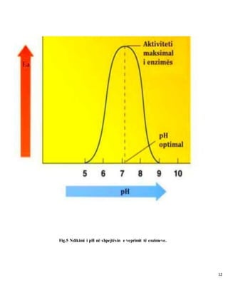 12
Fig.5 Ndikimi i pH në shpejtësin e veprimit të enzimeve.
 