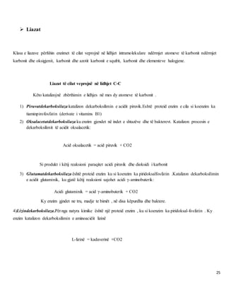 25
 Liazat
Klasa e liazave përfshin enzimet të cilat veprojnë në lidhjet intramolekulare ndërmjet atomeve të karbonit ndërmjet
karbonit dhe oksigjenit, karbonit dhe azotit karbonit e squfrit, karbonit dhe elementeve halogjene.
Liazat të cilat veprojnë në lidhjet C-C
Këto katalizojnë zbërthimin e lidhjes në mes dy atomeve të karbonit .
1) Piruvatdekarboksilaza katalizon dekarboksilimin e acidit piruvik.Eshtë proteid enzim e cila si koenzim ka
tiaminpirofosfatin (derivate i vitamins B1)
2) Oksalacetatdekarboksilaza ku enzim gjendet në indet e shtazëve dhe të bakterevt. Katalizon procesin e
dekarboksilimit të acidit oksalacetik:
Acid oksalacetik = acid piruvik + CO2
Si produkt i këtij reaksioni paraqitet acidi piruvik dhe dioksidi i karbonit
3) Glutamatdekarboksilaza është proteid enzim ku si koenzim ka piridoksalfosfatin .Katalizon dekarboksilimin
e acidit glutaminik, ku gjatë këtij reaksioni sajohet acidi γ-aminobuterik:
Acidi glutaminik = acid γ-aminobuterik + CO2
Ky enzim gjndet ne tru, madje te bimët , në disa këpurdha dhe baktere.
4)Lizindekarboksilaza.Për nga natyra kimike është një proteid enzim , ku si koenzim ka piridoksal-fosfatin . Ky
enzim katalizon dekarboksilimin e aminoacidit lizinë
L-lizinë = kadaverinë +CO2
 
