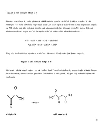 29
Ligazat të cilat formojnë lidhjet C-S
Sintetaza e Acil-CoA. Ky enzim gjendet në mëlçi.Katalizon sintezën e acil CoA të acideve organike, të cilat
përmbajnë 4-11 atome karboni në varg.Sinteza e acil CoA kalon nëpër dy faza.Në fazën e pare reagon acidi organik
me ATP-në , ku gjatë këtij reaksioni formohet acil-adenozinmonofosfati dhe acidi piruvik.Në fazën e dytë , acil-
adenilatomonofosfati reagon me CoA dhe sajohet acil CoA duke u ndarë adenozinmonofosfati :
ATP + acidi = Adil – AMP + pirofosfati
Acil-AMP + CoA = acilCoA + AMP
Të dy këto faza katalizohen nga sinteza e acil-CoA. Aktivatorë të këtij enzimi janë jonet e magnezit.
Ligazat të cilat formojnë lidhjet C-C
Këtij grupi i takojnë shumë enzime , por më i njohuri është Piruvat-karboksilaza.Ky enzim gjendet në indet shtazore
dhe të bakteriet.Ky enzim katalizon procesin e karboksilimit të acidit piruvik, ku gjatë këtij reaksioni sajohet acidi
oksal acetik
+ CO2→
acidi piruvik acidi oksal acetic
 