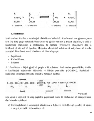 40
3. Hidrolazat
Janë enzime të cilat e katalizojnë zbërthimin hidrolitik të substratit me pjesmarrjen e
ujit. Në këtë grup enzimesh bëjnë pjesë të gjithë enzimet e traktit digjestiv, të cilat e
katalizojnë zbërthimin e molekulave të përbëra (proteinëve, sheqernave dhe të
lipideve) në ato më të thjeshta. Meqenëse ekzistojnë substrate të ndryshme në të cilat
veprojnë, hidrolazat mund të ndahen në disa nëngrupe:
- Peptidazat,
- Karbohidraza,
- Esteraza
3.1 Peptidazat – bëjnë pjesë në grupin e hidrolazave. Janë enzime proteolitike, të cilat
e katalizojnë zbërthimin hidrolitik të lidhjes peptidike (-CO-HN-). Reaksioni i
hidrolizës së lidhjes peptidike mund të paraqitet kështu:
Varësisht
nga vendi i veprimit në varg peptidik, peptidazat mund të ndahen në: a) ekzopeptidaza
dhe b) endopeptidazat.
a) Ekzopeptidazat e katalizojnë zbërthimin e lidhjeve peptidike që gjenden në skajet
e vargut peptidik. Këto ndahen në:
 