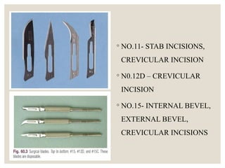 Oval Incision Instruments , incisons and basics of flap design for periodontal ...