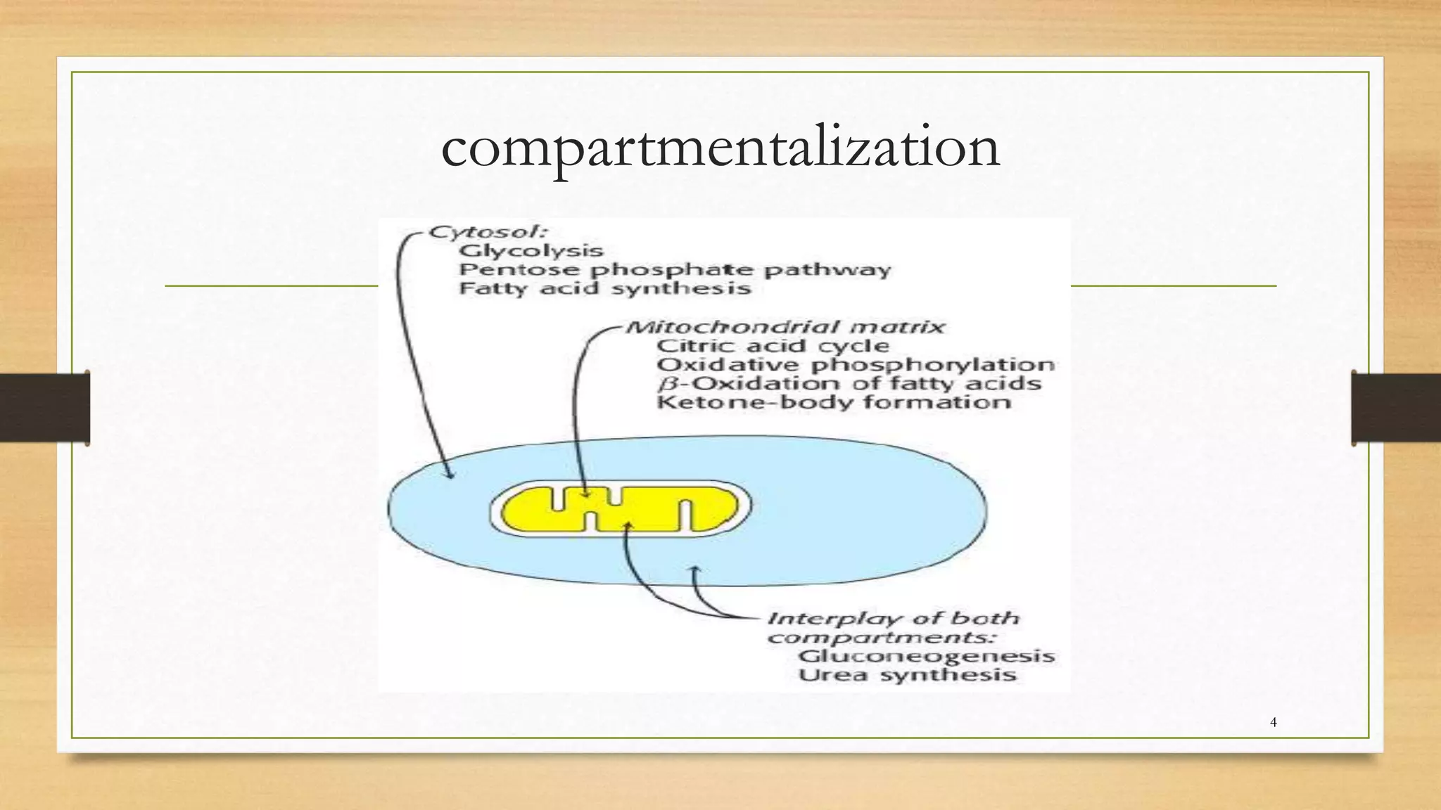 compartmentalization
4
 