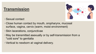Transmission
◦ Sexual contact
◦ Close human contact by mouth, oropharynx, mucosal
surface, vagina, cervix (warm, moist environment)
◦ Skin lacerations, conjunctivae
◦ May be transmitted asexually or by self-transmission from a
"cold sore" to genitalia
◦ Vertical to newborn at vaginal delivery.
 