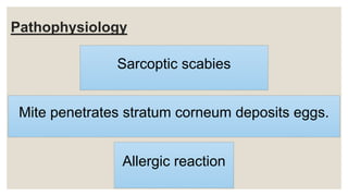 Pathophysiology
Sarcoptic scabies
Mite penetrates stratum corneum deposits eggs.
Allergic reaction
 