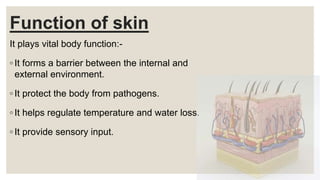 Function of skin
It plays vital body function:-
◦ It forms a barrier between the internal and
external environment.
◦ It protect the body from pathogens.
◦ It helps regulate temperature and water loss.
◦ It provide sensory input.
 