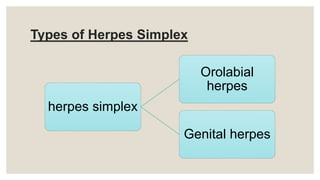 Types of Herpes Simplex
herpes simplex
Orolabial
herpes
Genital herpes
 