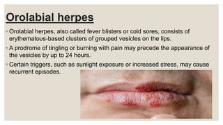 Orolabial herpes
◦ Orolabial herpes, also called fever blisters or cold sores, consists of
erythematous-based clusters of grouped vesicles on the lips.
◦ A prodrome of tingling or burning with pain may precede the appearance of
the vesicles by up to 24 hours.
◦ Certain triggers, such as sunlight exposure or increased stress, may cause
recurrent episodes.
 