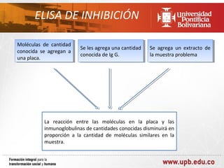ELISA DE INHIBICIÓN

Moléculas de cantidad
 Moléculas de cantidad
                         Se les agrega una cantidad
                          Se les agrega una cantidad   Se agrega un extracto de
                                                        Se agrega un extracto de
conocida se agregan aa
 conocida se agregan
                         conocida de Ig G.
                          conocida de Ig G.            la muestra problema
                                                        la muestra problema
una placa.
 una placa.




          La reacción entre las moléculas en la placa y las
          inmunoglobulinas de cantidades conocidas disminuirá en
          proporción a la cantidad de moléculas similares en la
          muestra.
 