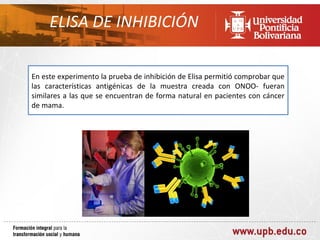 ELISA DE INHIBICIÓN

En este experimento la prueba de inhibición de Elisa permitió comprobar que
las características antigénicas de la muestra creada con ONOO- fueran
similares a las que se encuentran de forma natural en pacientes con cáncer
de mama.
 