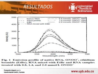 RESULTADOS
 