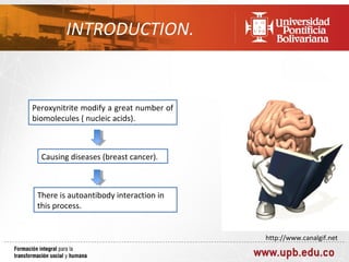 Peroxynitrite modify a great number of
biomolecules ( nucleic acids).



  Causing diseases (breast cancer).



 There is autoantibody interaction in
 this process.


                                         http://www.canalgif.net
 