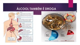 ÁLCOOL TAMBÉM É DROGA
 