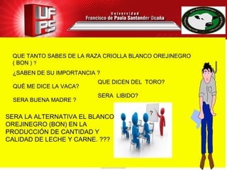 ¿SABEN DE SU IMPORTANCIA ?
QUÉ ME DICE LA VACA?
SERA BUENA MADRE ?
QUE TANTO SABES DE LA RAZA CRIOLLA BLANCO OREJINEGRO
( BON ) ?
SERA LA ALTERNATIVA EL BLANCO
OREJINEGRO (BON) EN LA
PRODUCCIÓN DE CANTIDAD Y
CALIDAD DE LECHE Y CARNE. ???
QUE DICEN DEL TORO?
SERA LIBIDO?
?
 